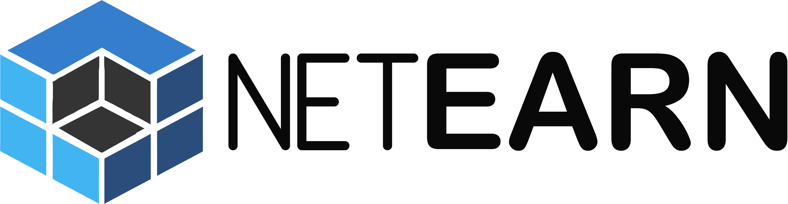 NetEarn logo